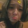 宠物美容的理论知识